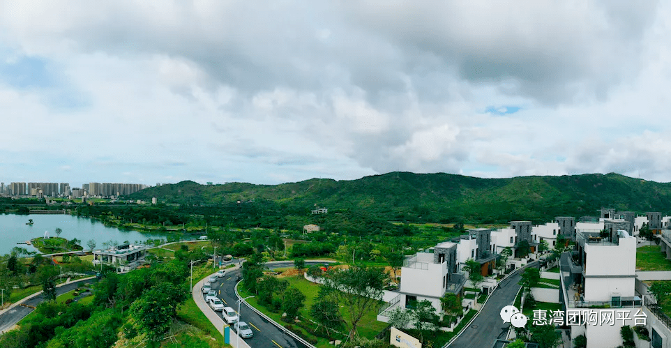 中祝村最新动态报道